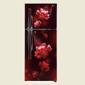 LG Refrigerator (GL-T292RSCY, Scarlet Charm, Convertible)