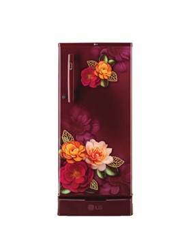 LG Refrigerator 185L 3-Star Single Door D199ORKD