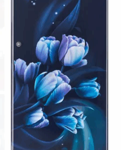 LG Single Door Refrigerator 185 Litres 1 Star Blue Tulip, Toughened Glass, GL-B199OBTB/2025