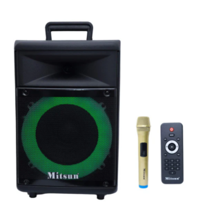 MITSUN 8 Inches Portable Bluetooth Speaker with Wireless Mic (MIT-PS-810)